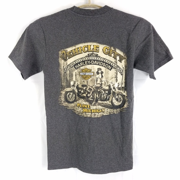 Harley Davidson Flint Michigan Retro Motorcycle - Picture 3 of 4